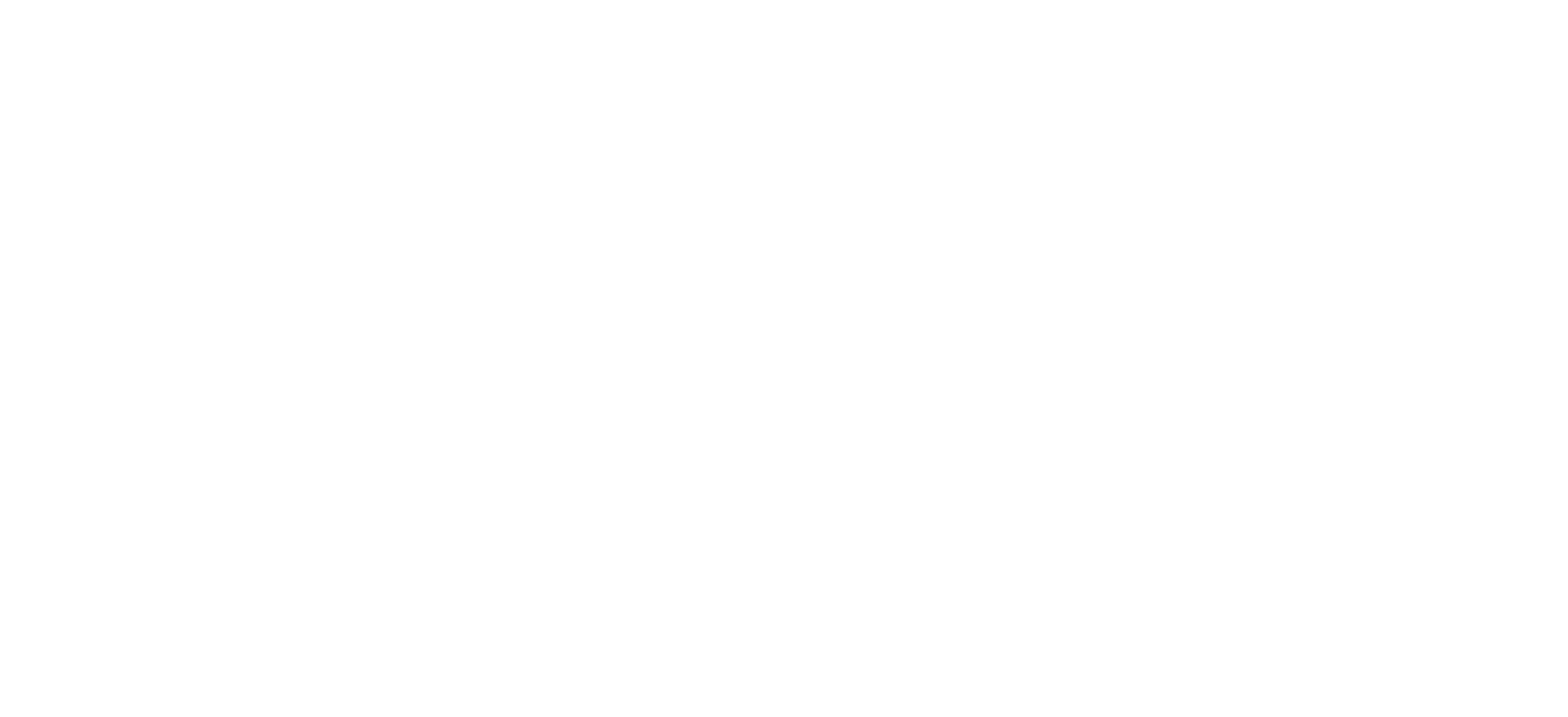 Digital 55